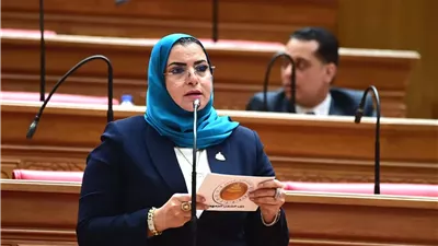سهير كريم:اتفاقيات البترول تدعم الاقتصاد ونطالب بخفض أسعار الوقود