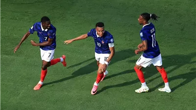 رجل مباراة فرنسا والسويد في كأس العالم