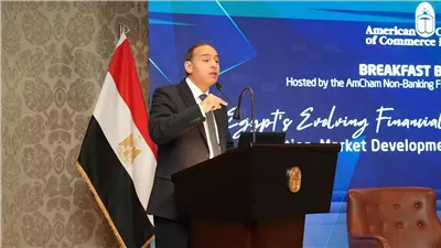 الرقابة المالية: 