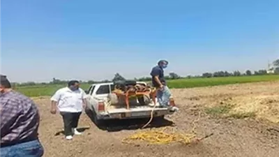 حملة مكبرة لمواجهة مخاطر الثعابين بالشرقية٠