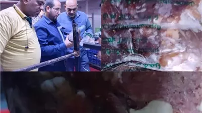 ضبط 4 أطنان لحوم غير صالحة للاستخدام داخل مصنع بالعبور