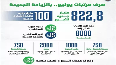 كجوك: الزيادة الجديدة ترفع الحد الأدنى للدخل للعاملين بالدولة