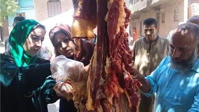 ضبط أكثر من نصف طن دواجن وأسماك ولحوم فاسدة بالمنيا