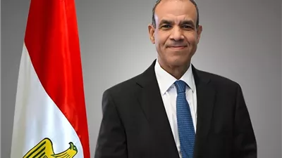 وزير الخارجية يؤكد موقف مصر الداعم للدولة اللبنانية وشعبها الشقيق