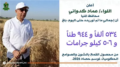 توريد 535 ألف طن من القمح المحلي خلال موسم 2026 بالمنيا