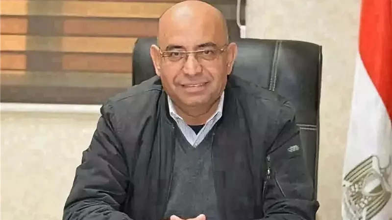 المهندس محمد عبدالمقصود