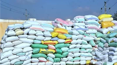 توريد 415 الف طن قمح بالبحيرة