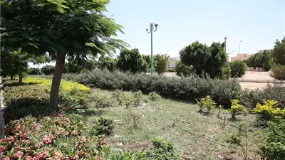 وزيرة الإسكان تتابع أعمال تطوير الطرق ومداخل مدينة بدر