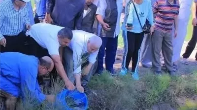 محافظ الشرقية يتابع تنزيل الزريعة السمكية بحقول الأرز