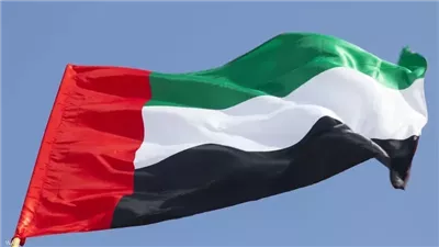 الإمارات تُدين التفجيرين الإرهابيين في دمشق