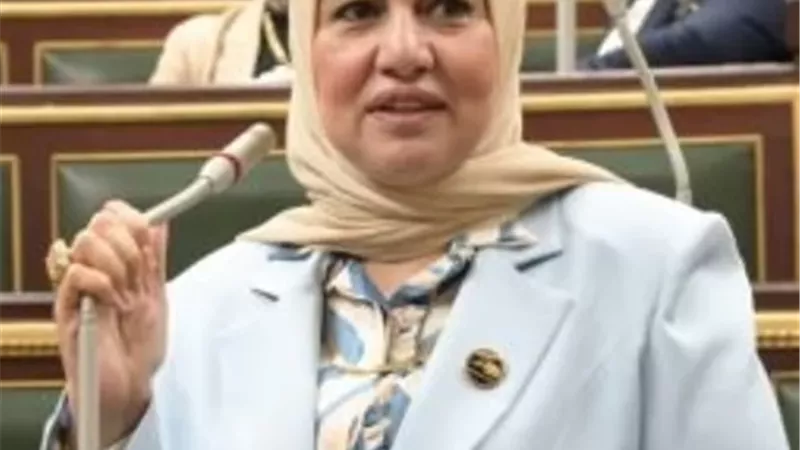 النائبة سحر صدقي