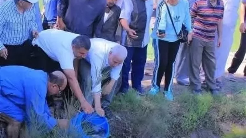بوابة الجمهورية