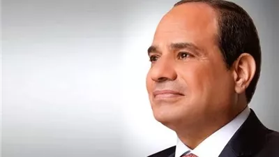 الرئيس السيسي يصدر قرارا بتعيين الفريق محمد عبد الرحمن بسيوني سالم ربيع رئيسا للهيئة القومية لإدارة الأزمات والطوارئ