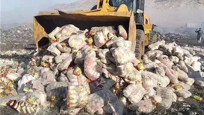 إعدام39 طن أرز وسكر فاسد وغيرصالح للاستخدام الآدمي بسوهاج