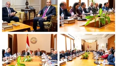 وزيرا الخارجية والاستثمار يعززان الاستثمارات المصرية بإفريقيا