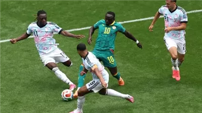 قائد السنغال يعتذر للجماهير بعد الخروج من كأس العالم