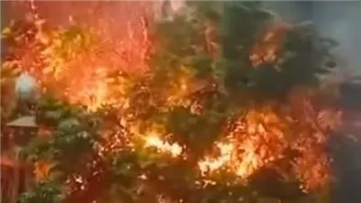 السيطرة على حريق بحشائش وأشجار بجوار موقف المطاعنة في إسنا