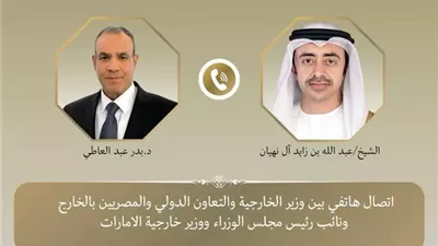 وزير الخارجية يبحث مع نظيره الإماراتي مستجدات الأوضاع الإقليمية