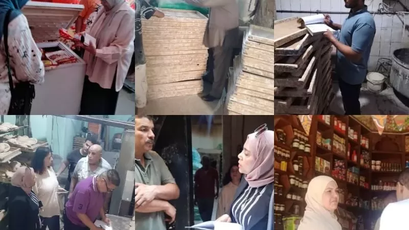 تموين القليوبية