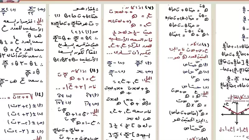 مراجعة ليلة امتحان