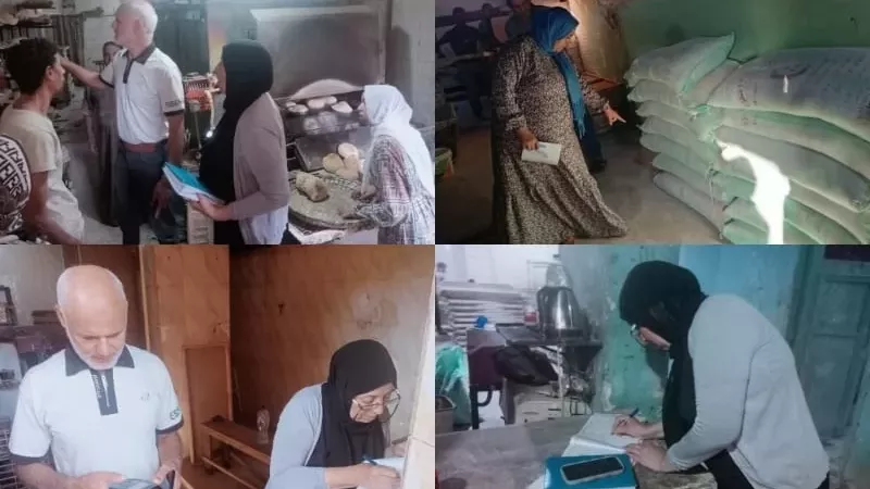 تموين القليوبية