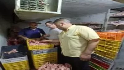 الجيزة تضبط 60طنًا من مقطعات الدواجن غير الصالحة للاستهلاك الآدمى