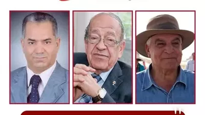 الأعلى للإعلام: آراء وسيم السيسي مكفولة بشرط الالتزام بالمراجع العلمية