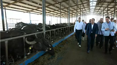 مدبولي يتفقد محطةالإنتاج الحيواني وتصنيع الألبان التابعة لوزارةالزراعة