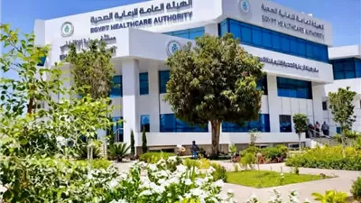 المستشفى الافتراضي بالإسماعيلية..بداية عصر جديد للرعاية الصحية الرقمية