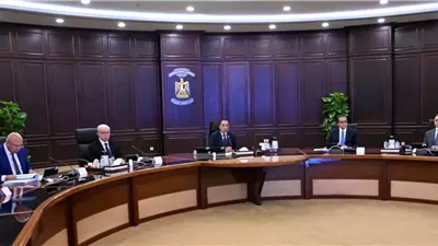 مدبولي: جار تنفيذ تكليفات الرئيس بشأن العمالة غير المنتظمة والمهن الحرة والعاملين بالخارج