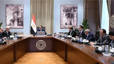 مدبولي: 20 شركة أُدرجت بالقيد المؤقت ضمن برنامج الطروحات
