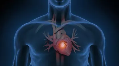دواء تجريبي يبشر بحماية القلب من مضاعفات مرض وراثي خطير