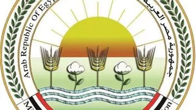 متحدث الزراعة:انتشار الشائعات حول المنتجات الزراعية يمثل تحديا