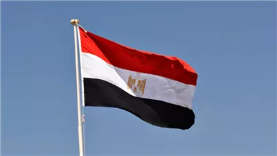 الخارجية تشيد بقرار بلجيكا حظر منتجات المستوطنات الإسرائيلية.. وتؤكد دعمه للقانون الدولي