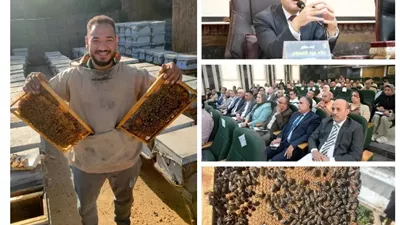 الغربية أكثر من 70% من إنتاج عسل النحل بمصر