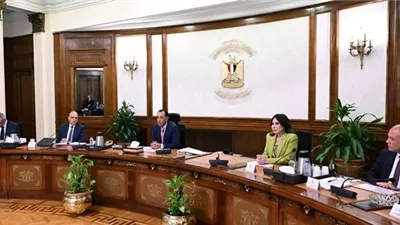 رئيس الوزراء يوجه باتخاذ جميع الإجراءات لحماية المجاري المائية من التلوث