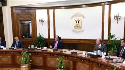 رئيس الوزراء يتابع مستجدات مشروع الأجهزة التعويضية
