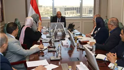 وزير الكهرباء يبحث مع محافظ الوادي الجديد سبل دعم الطاقات المتجددة