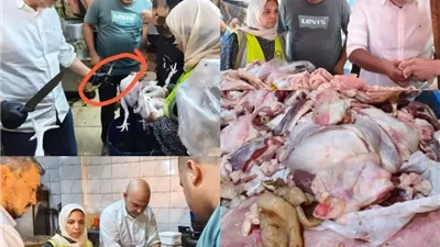 ضبط طن وربع لحوم ودواجن فاسدة في حملات مكبرة بالقليوبية
