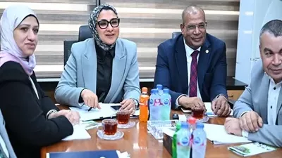 رئيس هيئة الاستشعار من البعد يبحث استدامة الواحات مع اليابان