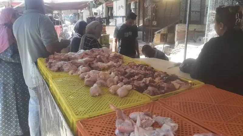 تموين القليوبية