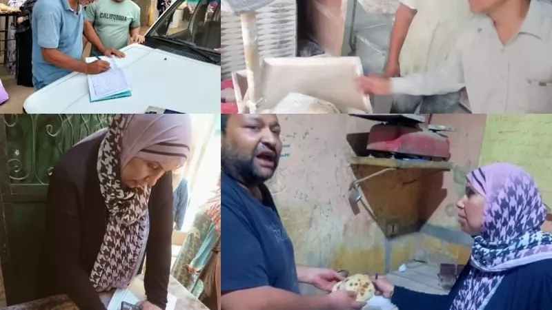 تموين القليوبية