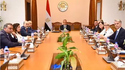 وزير الخارجية يستقبل وفد لجنة حقوق الإنسان بالبرلمان الأوروبي