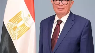 نائب رئيس الوزراء للشؤون الاقتصادية يهنئ الرئيس السيسي بثورة يوليو