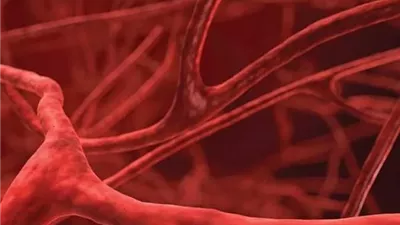 تقنية جديدة تمهد لزراعة أعضاء بشرية بأوعية دموية دقيقة