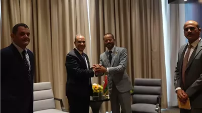 تعزيز الشراكة المصرية العُمانية على رأس مباحثات وزير الخارجية ونظيره العُماني