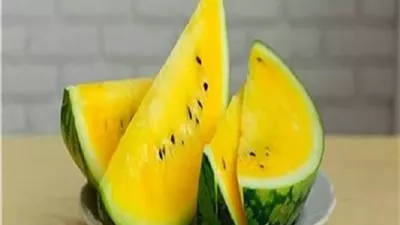 البطيخ الأصفر ومرضى السكري والكلى .. نصائح مهمة قبل تناوله