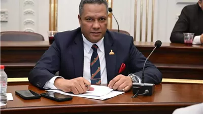 حمزة:كلمة الرئيس تؤكد أن الجمهوريةالجديدة امتداد لمسيرة الدولة الوطنية