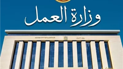 2024 وظيفة جديدة.. وزارة العمل تطرح فرصًا للتوظيف في 12 محافظة
