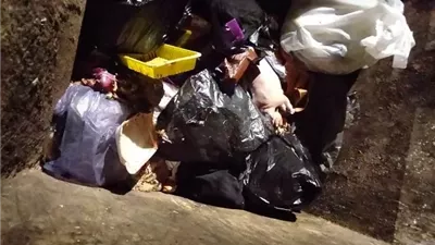 من قتل رضيع العاشر من رمضان.. وألقى به وسط القمامة